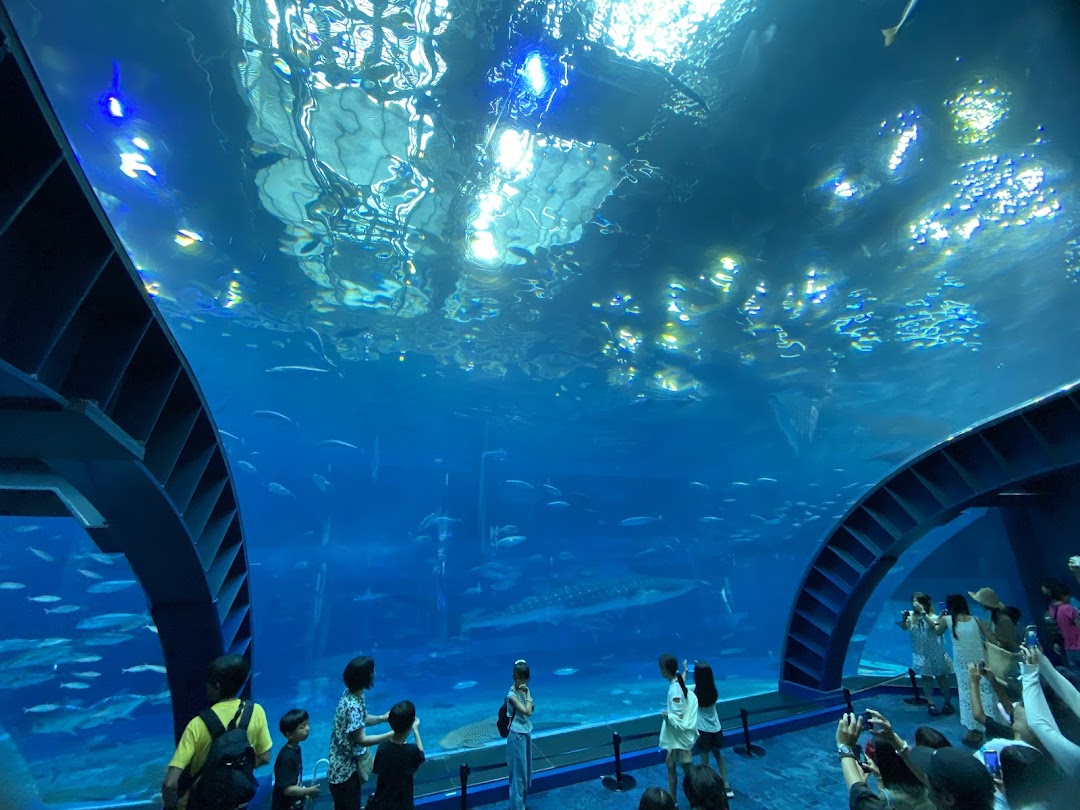 Churaumi Aquarium